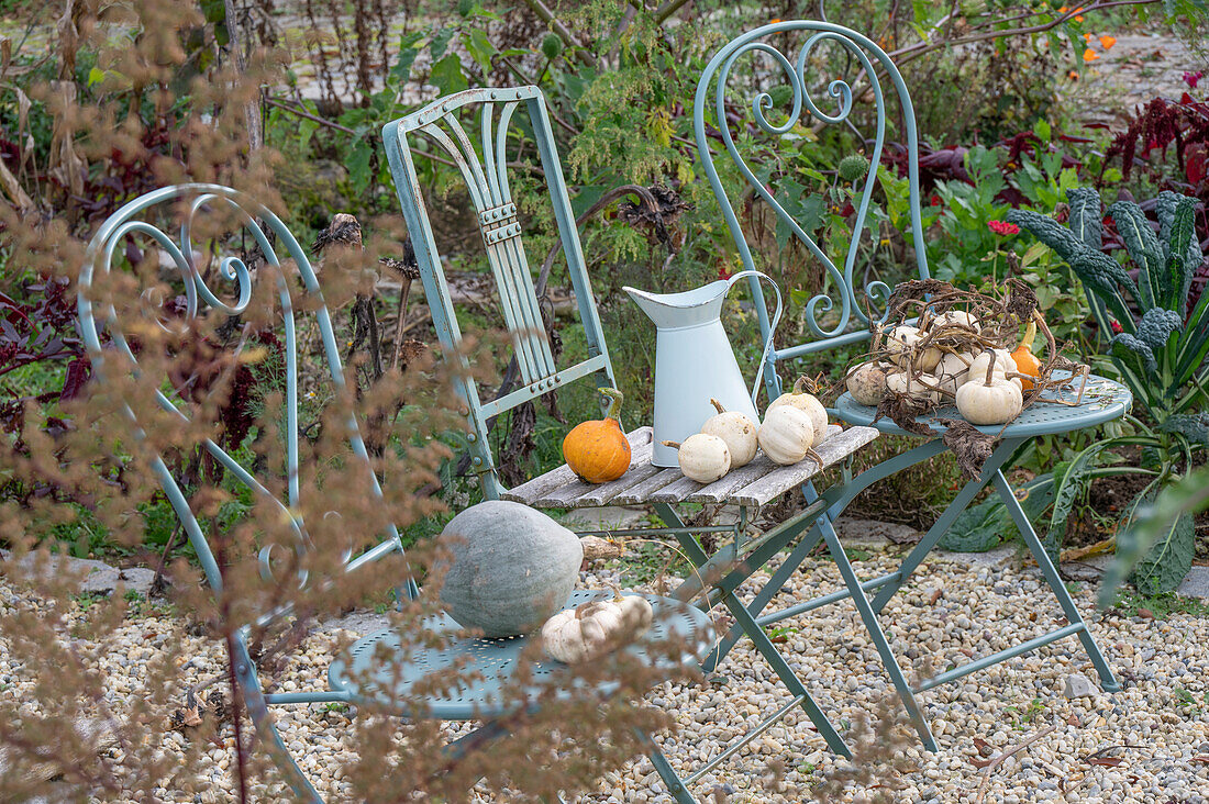 Herbststillleben, Zierkürbisse auf Gartenstühlen und Wasserkrug