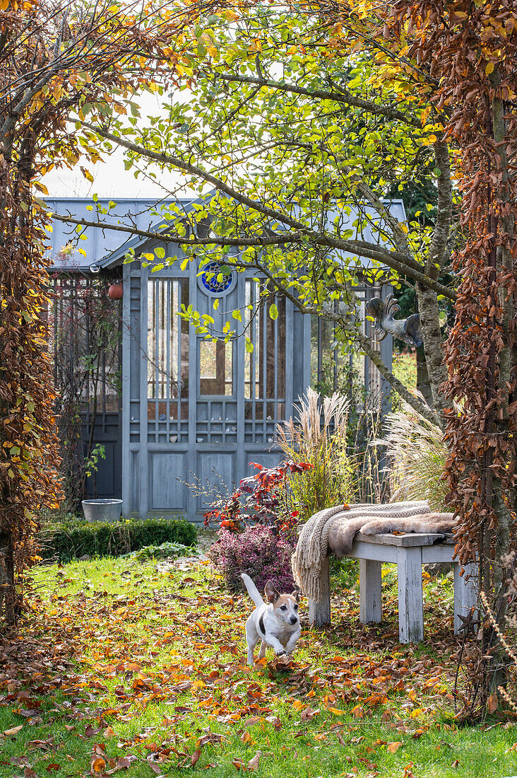 Herbstlicher Garten mit Gartenhaus , Sitzplatz und Hund