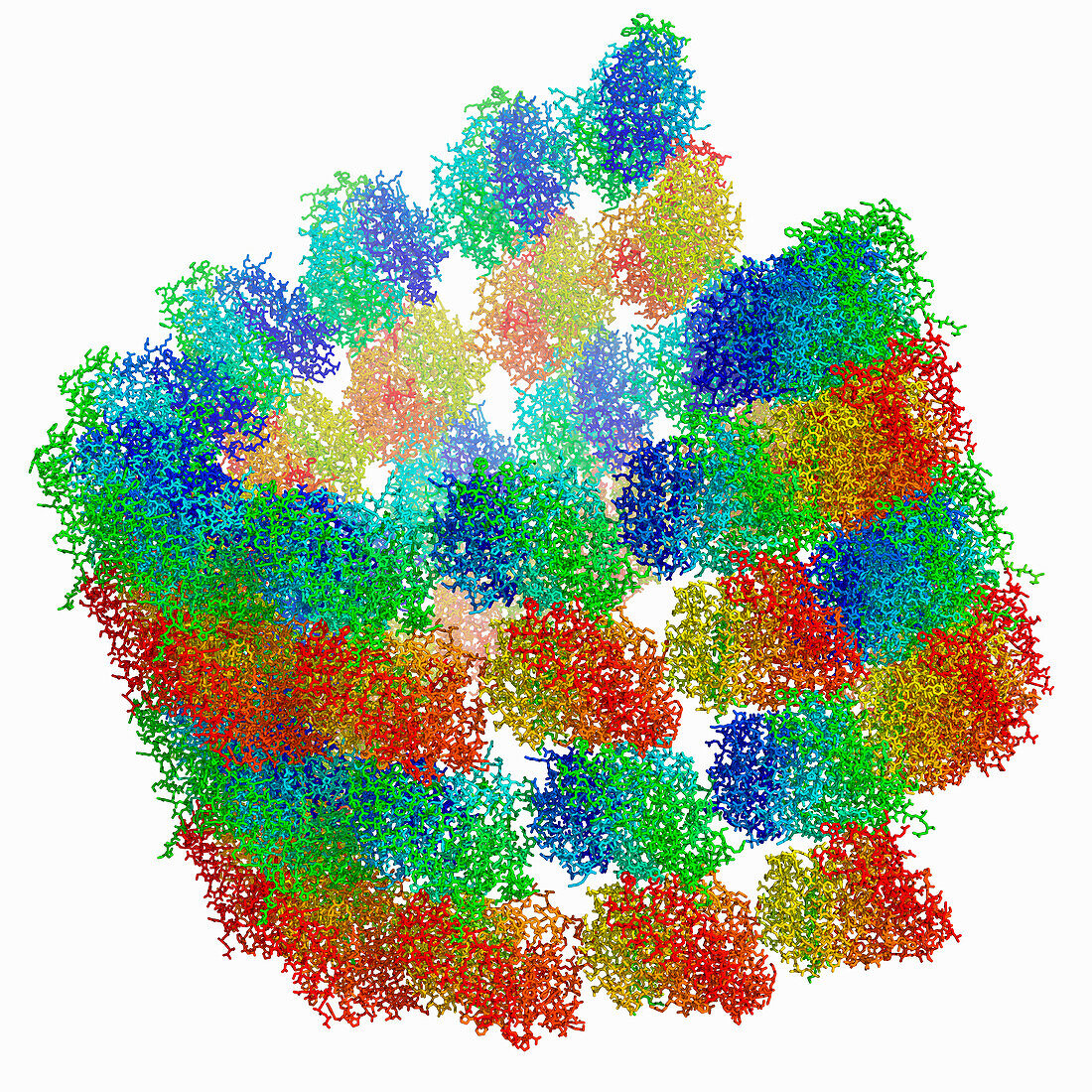 Microtubule with tubulin oligomers, molecular model