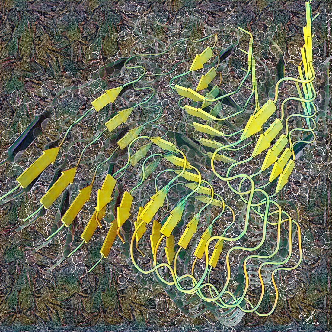 Type I amyloid-beta filaments, illustration