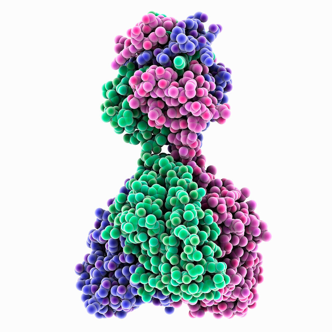 Zamilon virus protein Zav_19, molecular model