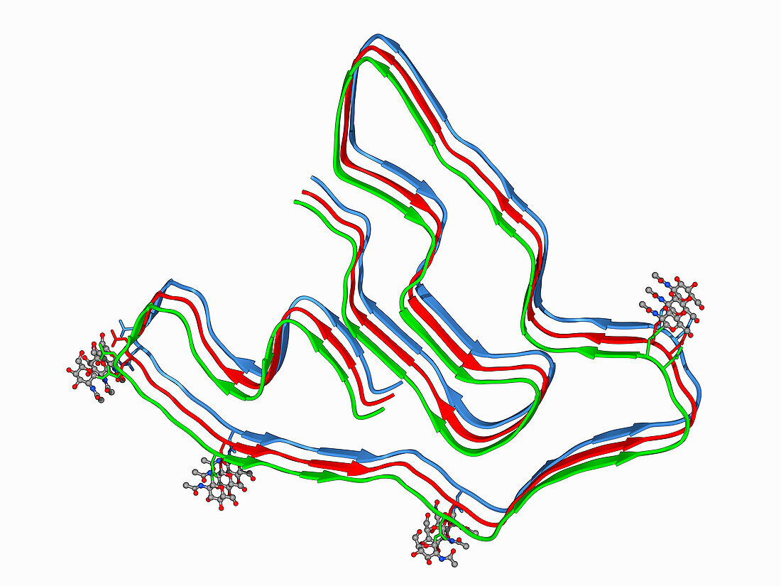 Filament from neurodegenerative brain, molecular model