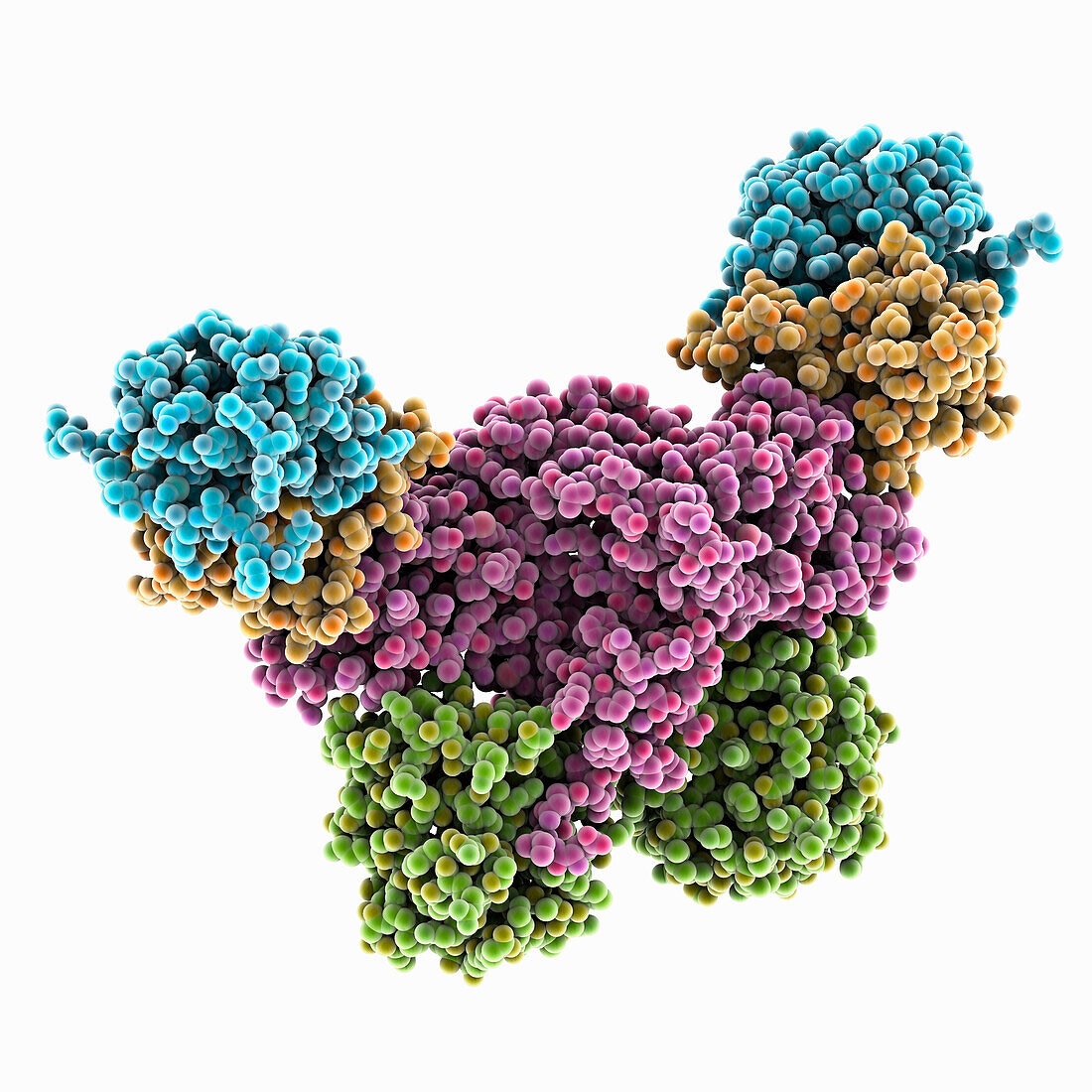 Visna-maedi virus infectivity factor, molecular model