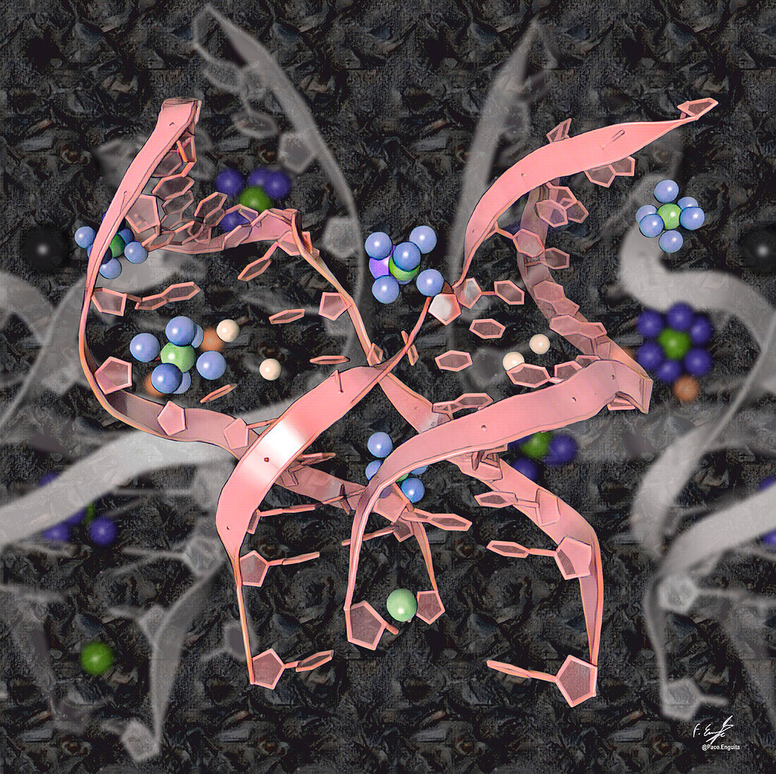 Copper-containing synthetic DNA complex, illustration