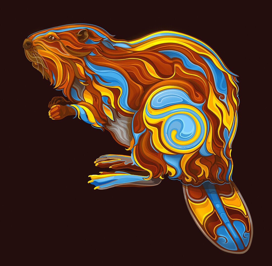 Beaver, illustration