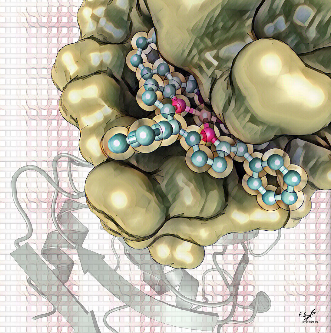 Haemophore protein, illustration