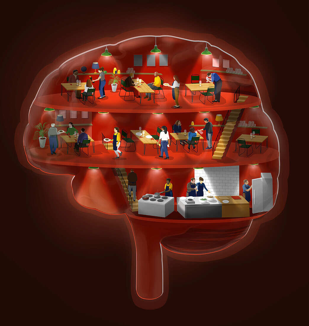 Brain restaurant, conceptual illustration