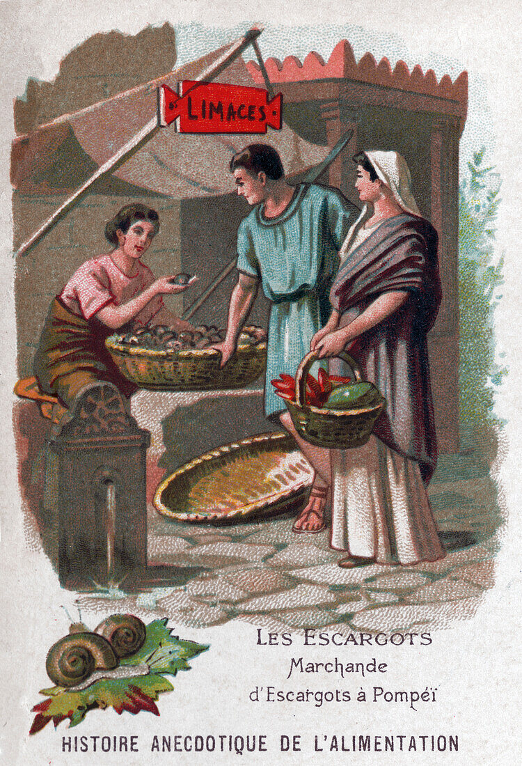 Snail eating in Pompeii, illustration