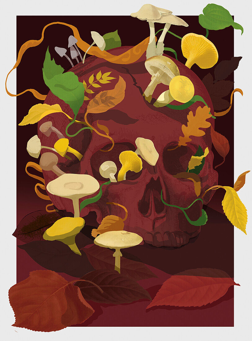 Fungi skull, conceptual illustration