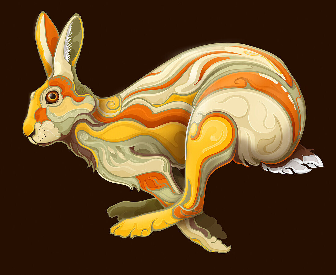 Hare, illustration