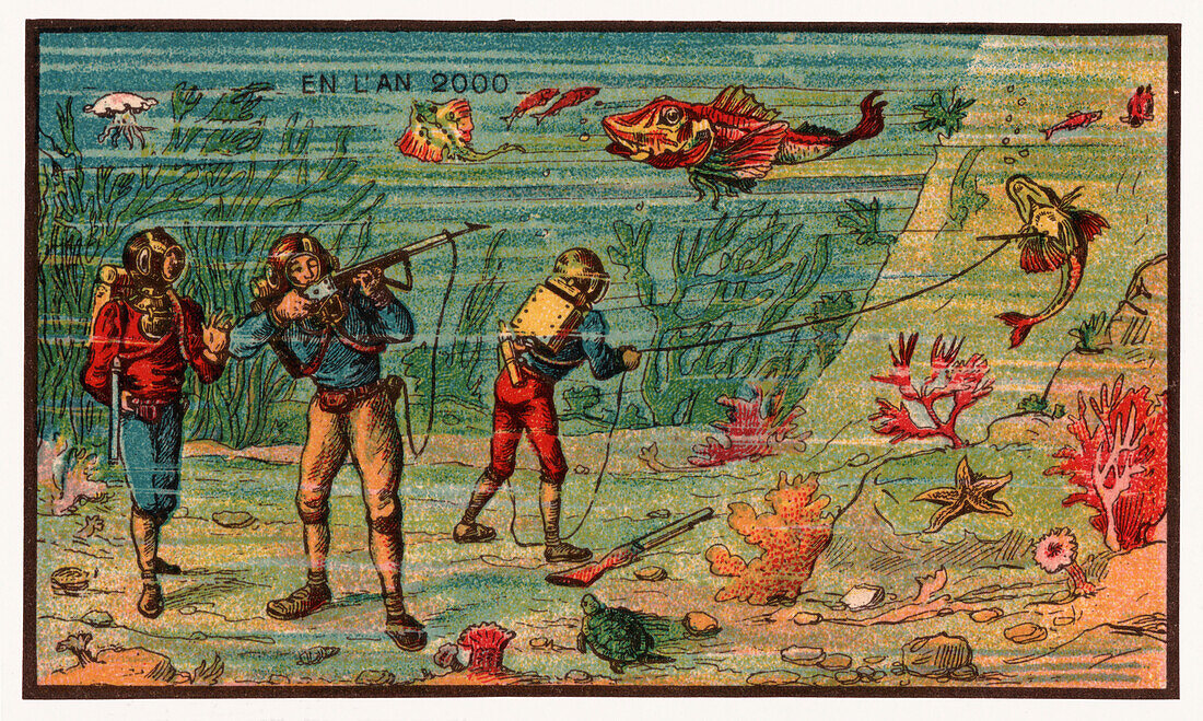 Harpoon fishing, illustration