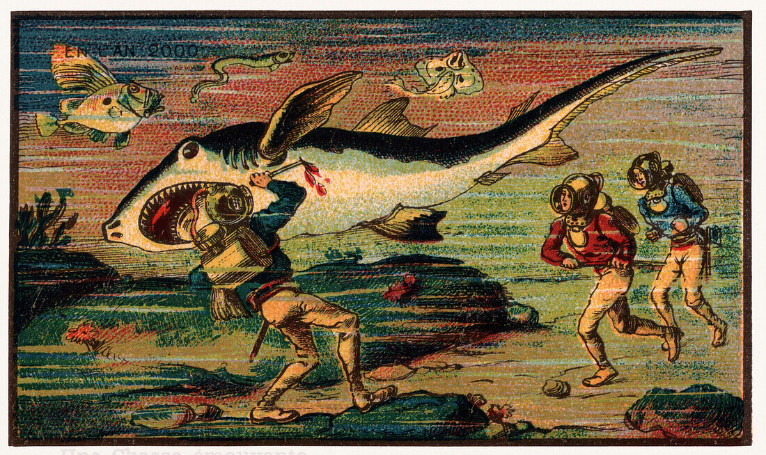Shark hunt, illustration