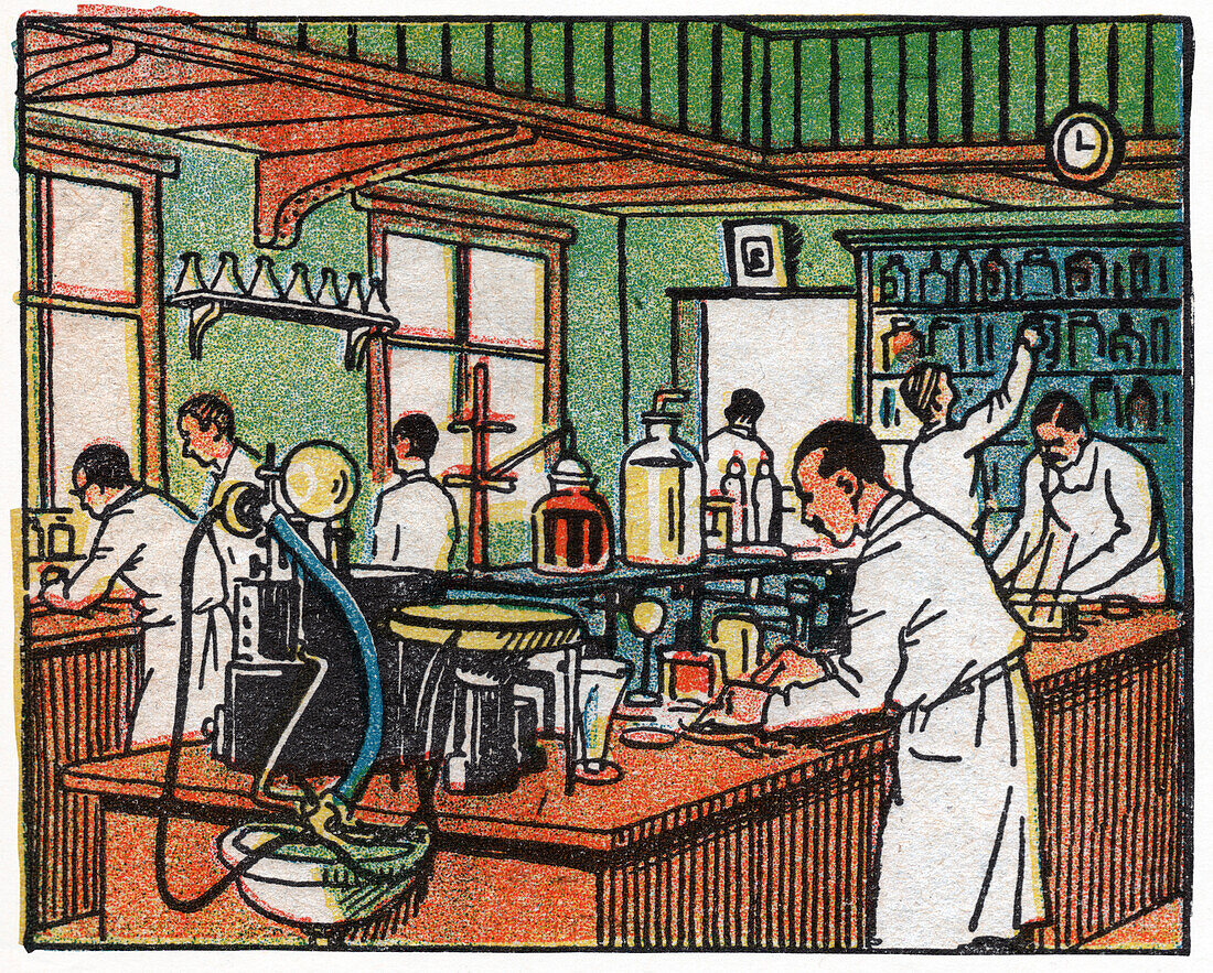 Laboratory in the Vilmorin factory, illustration