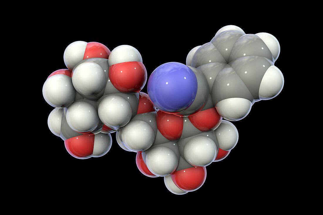 Molecular model of amygdalin, illustration