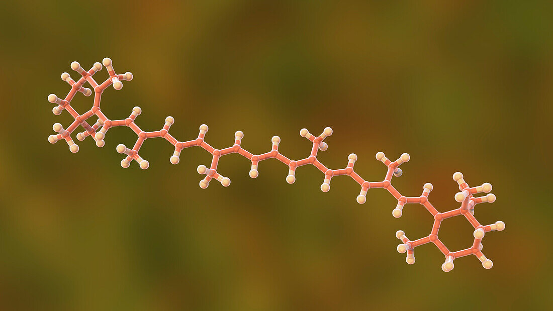 Molecular model of beta-carotene, illustration