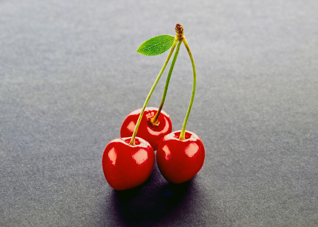 Three cherries with stem and leaf