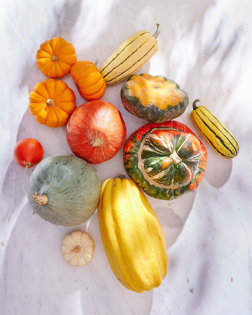 selection of squash