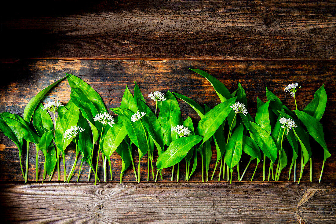 Wild garlic with blossom on a rustic wooden base