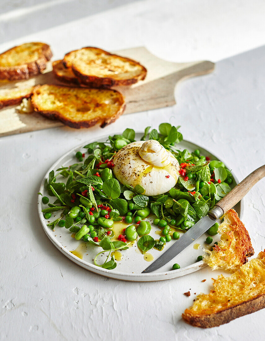 Smashed broad beans and peas with burrata