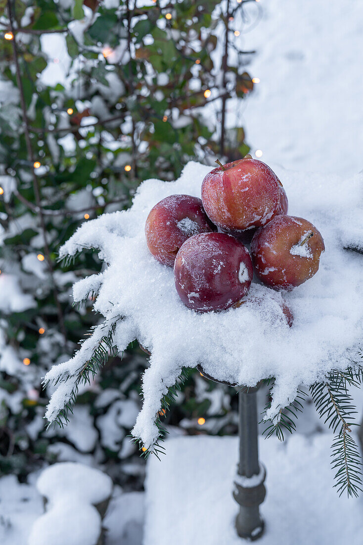 Apfeldekoration im Schnee mit Lichterkette auf Metallständer