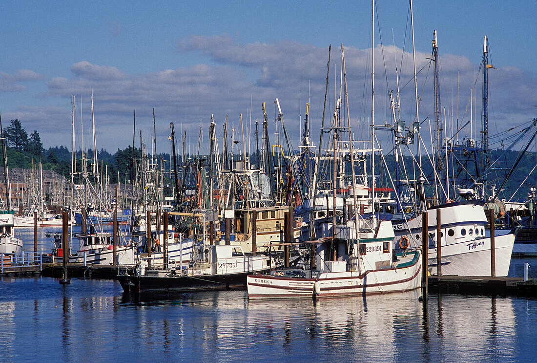 Fischerboote am Hafendock in der Yaquina Bay, Newport, an der Küste von Oregon.