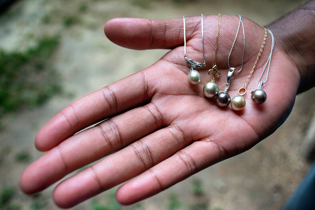 Hände halten eine Auswahl roher Fidschi-Schwarzlippenaustern mit schwarzen Perlen. Mamanucas Inselgruppe Fidschi