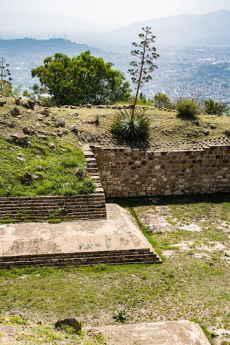 Eine Agavenblütennadel auf dem größten Ballspielplatz in den Ruinen der zapotekischen Stadt Atzompa bei Oaxaca, Mexiko. Es handelt sich um den größten Ballspielplatz in der Monte-Alban-Ruinengruppe. Im Hintergrund sind das Zentraltal und die Stadt Oaxaca zu sehen.