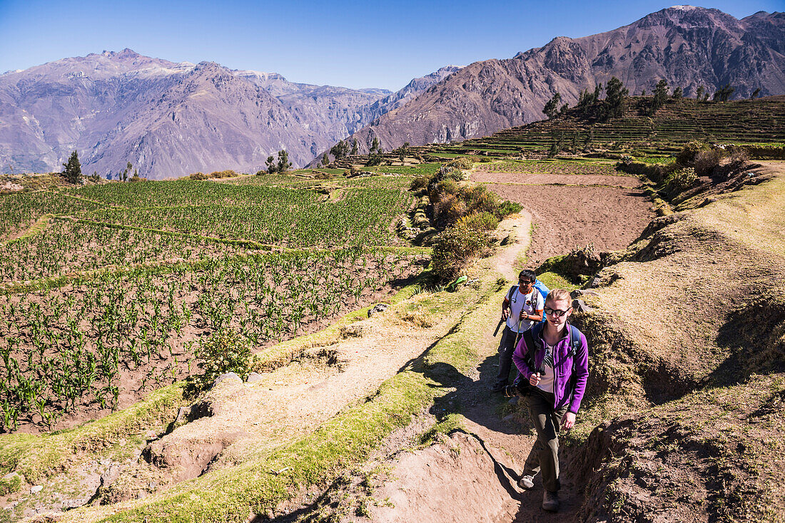 Hiking in Colca Canyon through pre Inca terraces and farmland at Cabanaconde, Peru
