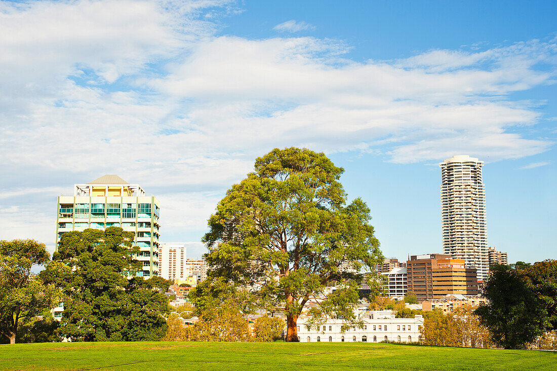 Gebäude im Stadtzentrum von Sydney von den Botanischen Gärten aus gesehen, Sydney, New South Wales, Australien