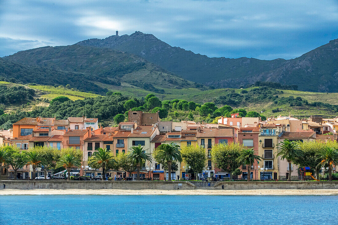 Landschaft am Strand des malerischen Dorfes Collioure in der Nähe von Perpignan in Südfrankreich Languedoc-Roussillon Cote Vermeille Midi Pyrenees Occitanie Europa