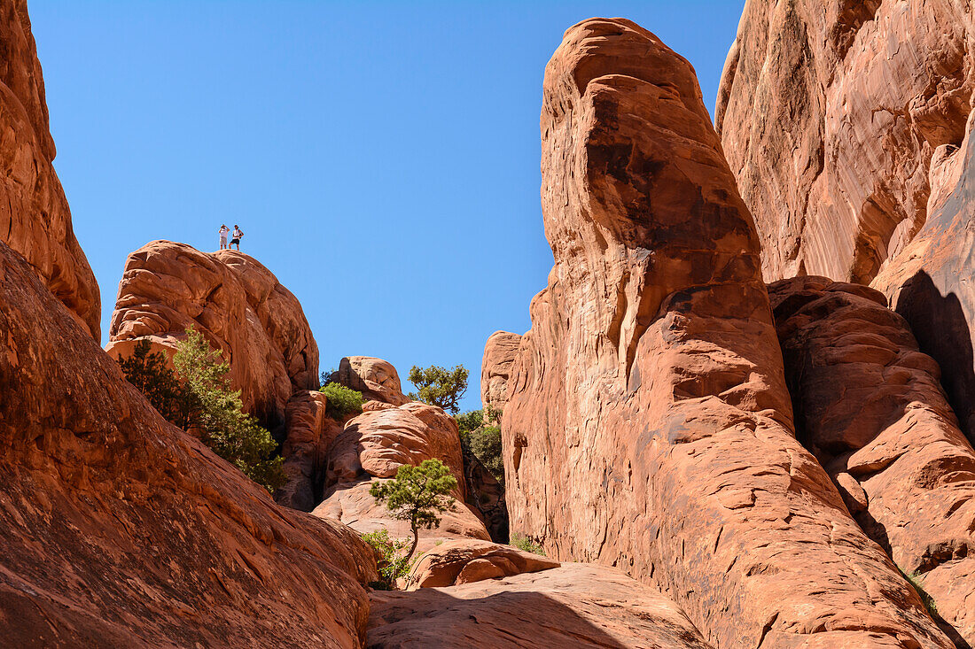 Devils Garden Trail, Arches National Park, Utah.