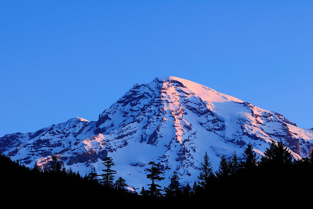 Sonnenaufgangslicht auf dem Gipfel des Mount Rainier von Longmire Meadow aus; Mount Rainier National Park, Washington.
