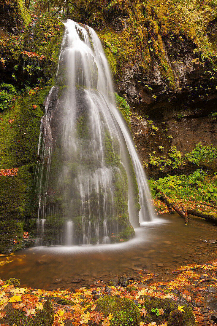 Spirit Falls; Umpqua National Forest, Kaskadengebirge, Oregon