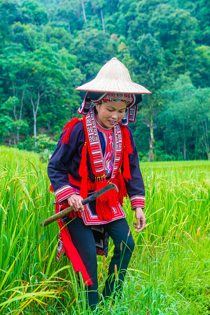 Woman from the Red Dao minority in a village near Ha Giang in Vietnam