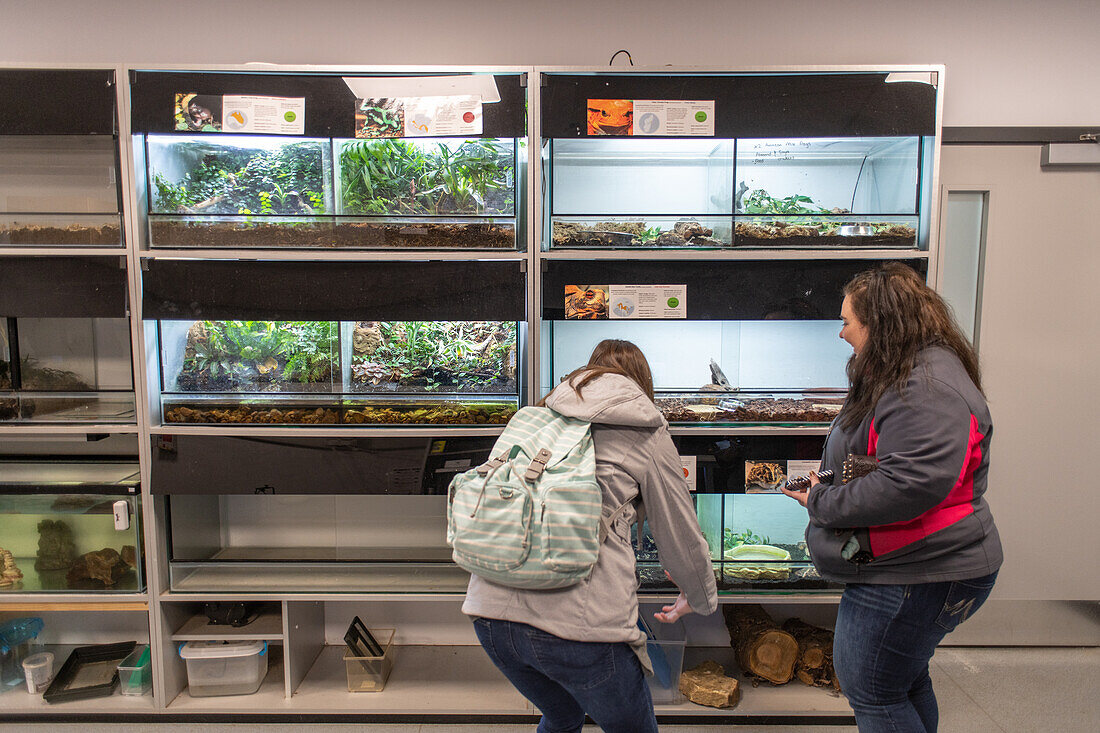 People look at terrariums Yorkshire, UK