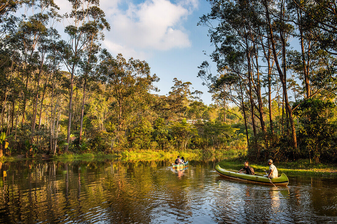 Tourists on vacation in Madagascar, in a canoe in hte rainforest going along a river to see wildlife