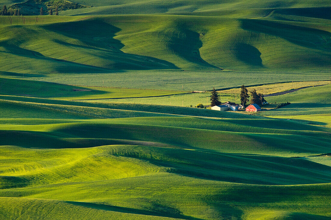 Palouse Farm und Weizenfelder von Steptoe Butte, Washington.