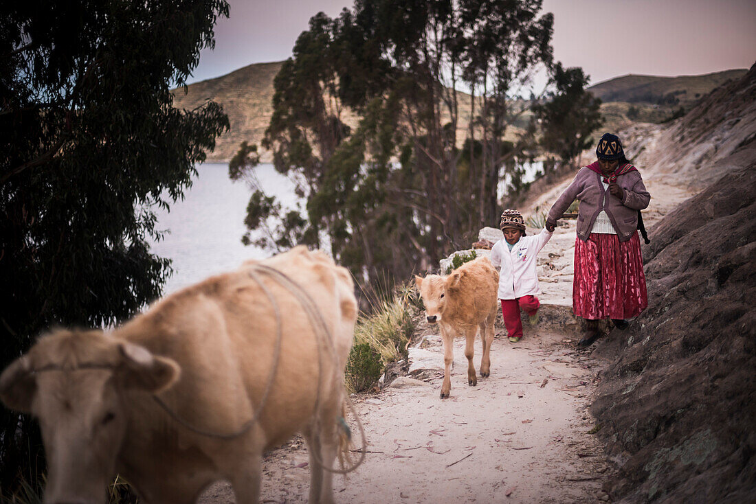 Chollita im Dorf Challapampa, Isla del Sol (Sonneninsel), Titicacasee, Bolivien