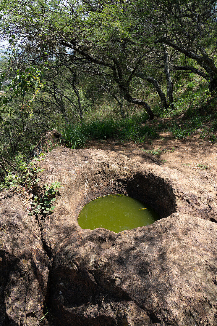 Das Bad des Königs in den Ruinen der zapotekischen Stadt Zaachila im Zentraltal von Oaxaca, Mexiko. Das runde Bad wurde aus dem einheimischen Stein gehauen.