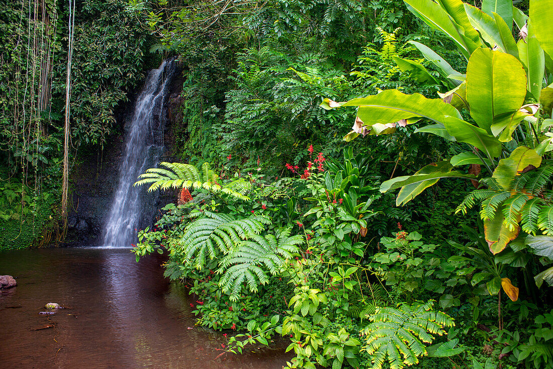 Fautaua-Wasserfall. Les Rivières de Tahiti. Fauoro-Fluss in Teahupoo. Papeete Tahiti nui Französisch-Polynesien Frankreich
