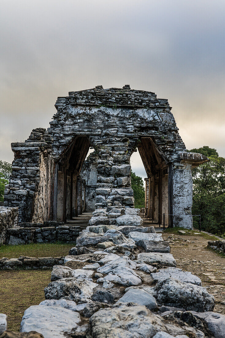 Palace ruins with corbel vaults, in the ruins of the Mayan city of Palenque, Palenque National Park, Chiapas, Mexico. A UNESCO World Heritage Site.