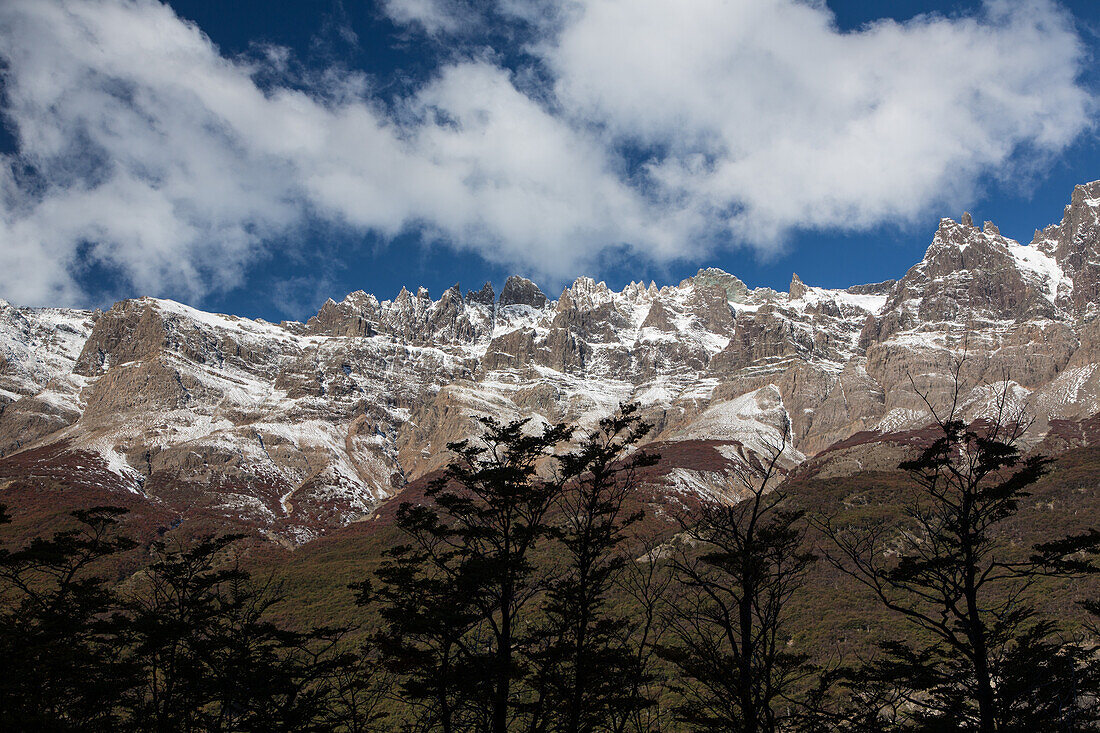 The Cordon de los Condores forms the east side of the valley of the Rio de las Vueltas north of Los Glaciares National Park, near El Chalten, Argentina, in the Patagonia region of South America. In the foreground are lenga or Southern Beech Trees.