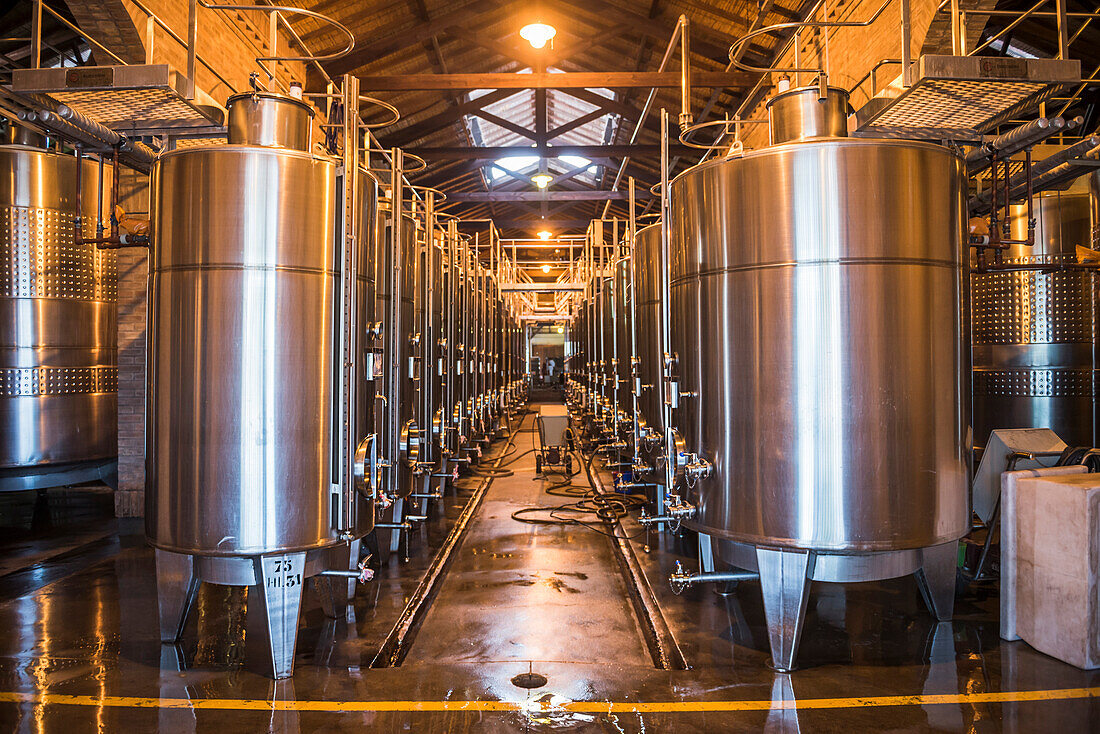 Wine fermentation tanks at Bodega Alta Vista, a winery in the Chacras de Coria area of Mendoza, Mendoza Province, Argentina