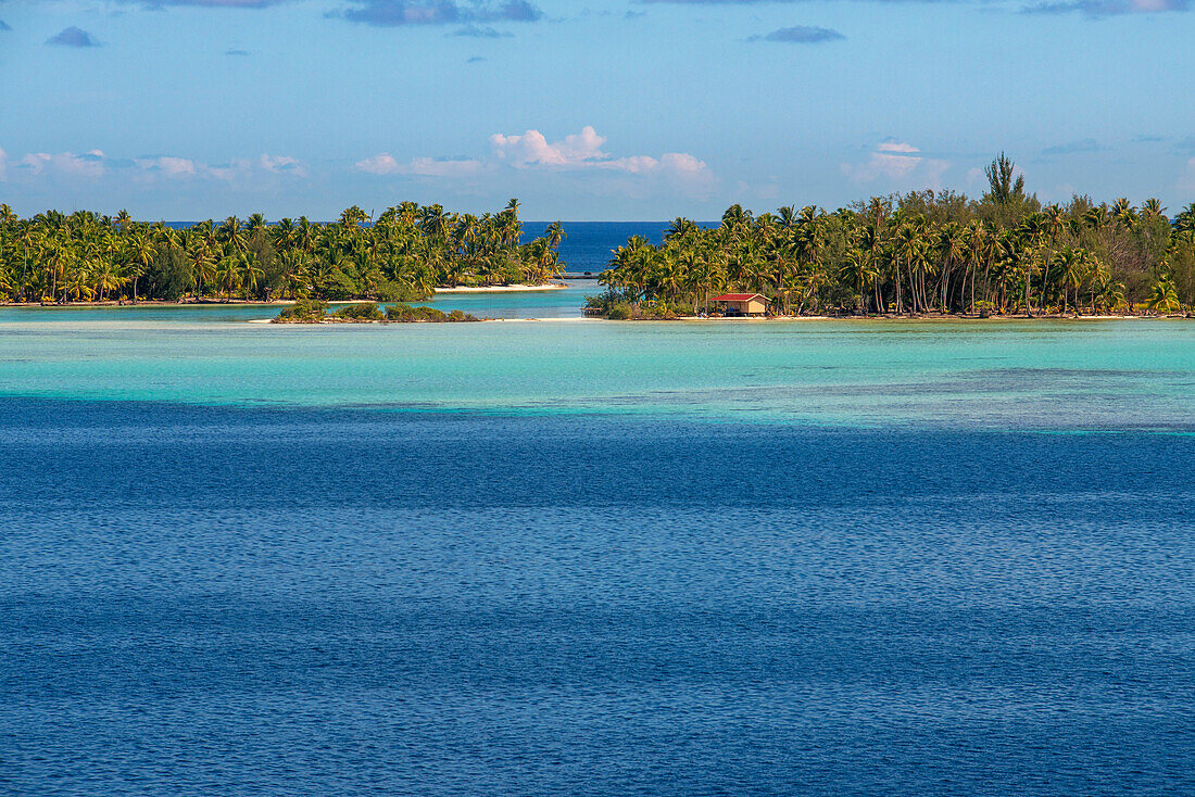 Tropenparadies am Meer Landschaft der Insel Taha'a, Französisch-Polynesien. Motu Mahana Palmen am Strand, Taha'a, Gesellschaftsinseln, Französisch-Polynesien, Südpazifik.