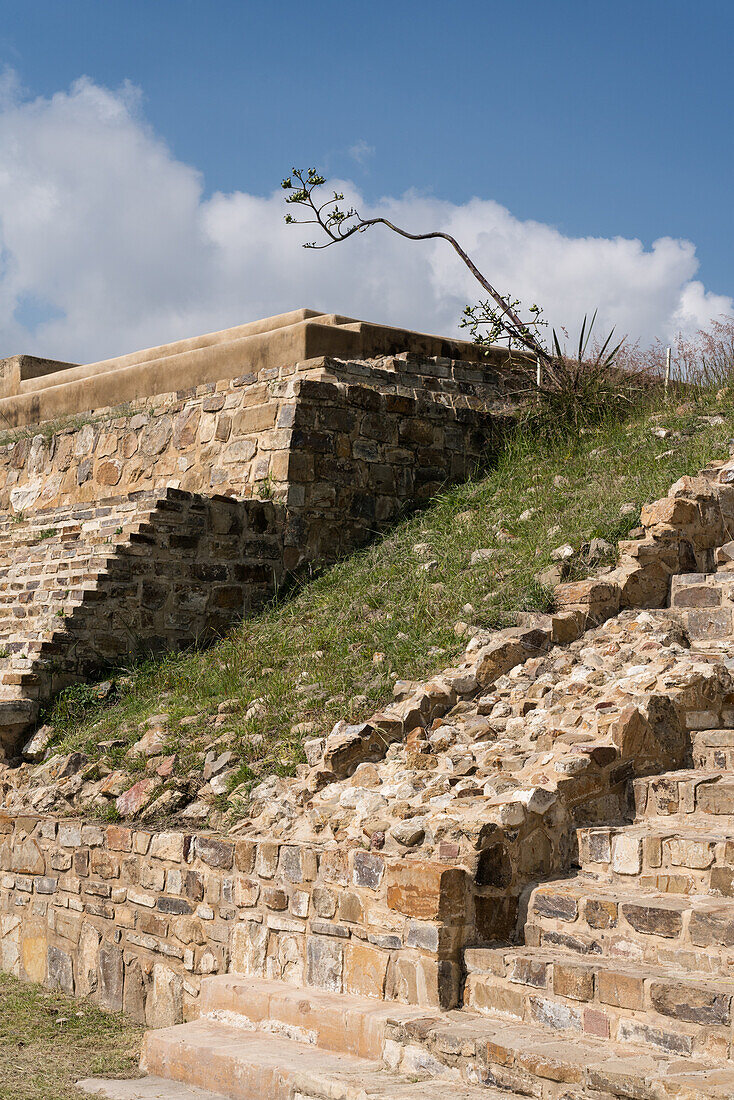 Eine Agavenblütennadel auf den Ruinen des Osthauses oder Casa de Oriente in der zapotekischen Stadt Atzompa in der Nähe von Oaxaca, Mexiko.