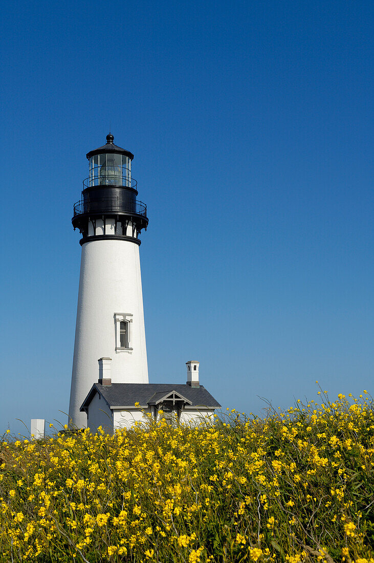 Yaquina Head Lighthouse and Yaquina Head Outstanding Natural Area, central Oregon Coast.