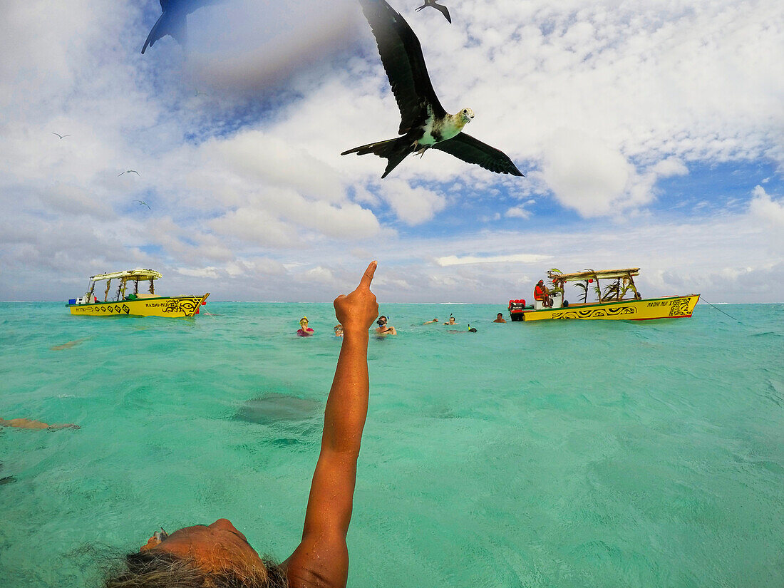 Albatros. Touristen auf einem Schnorchelausflug zur Beobachtung von Schwarzspitzenhaien und Stachelrochen in den flachen Gewässern der Lagune von Bora Bora, Moorea, Französisch-Polynesien, Gesellschaftsinseln, Südpazifik. Cook's Bay.
