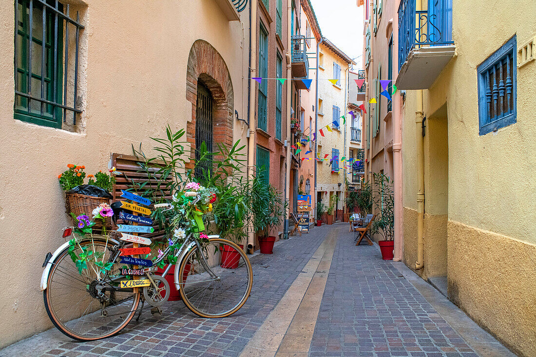 Straße in der mittelalterlichen Stadt Collioure in Südfrankreich Languedoc-Roussillon Cote Vermeille Midi Pyrenees Occitanie Europa