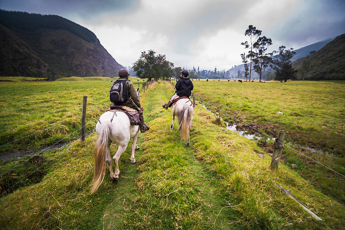 Horse riding at Hacienda Zuleta, Imbabura, Ecuador, South America