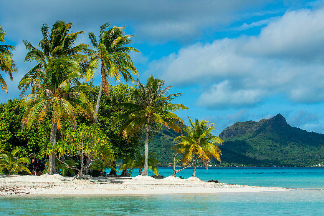 Beach of motu Tevairoa island, a little islet in the lagoon of Bora Bora, Society Islands, French Polynesia, South Pacific.